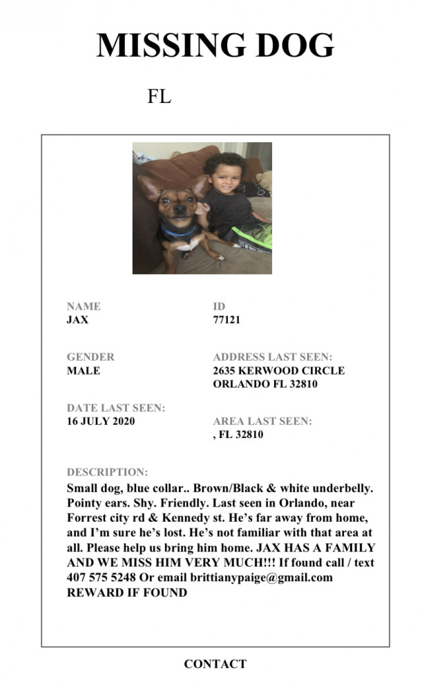 Reunited Male Dog (Brown/Black/white, Mixed)