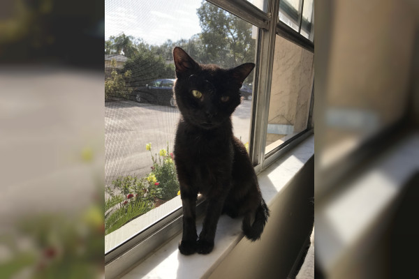 FOUND SAFE!  Little Boy