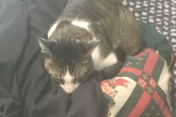 Vinny