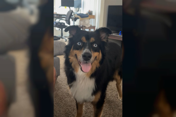 Benny