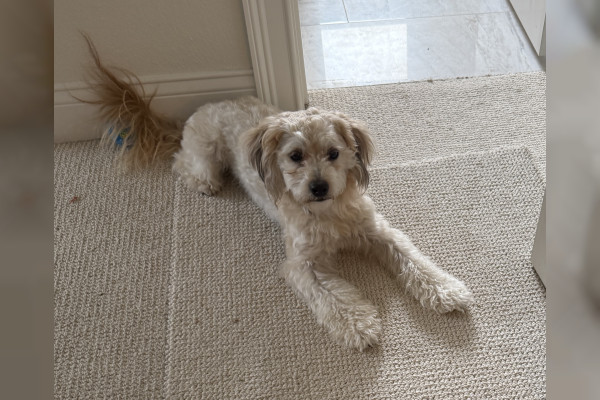 Milo
