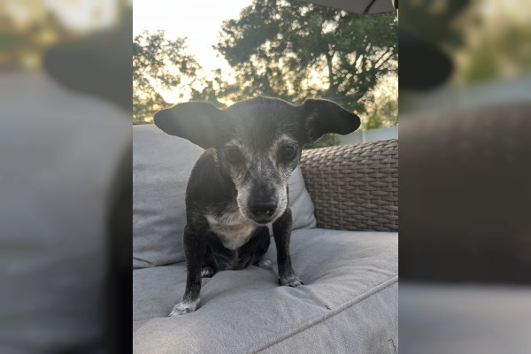 missy