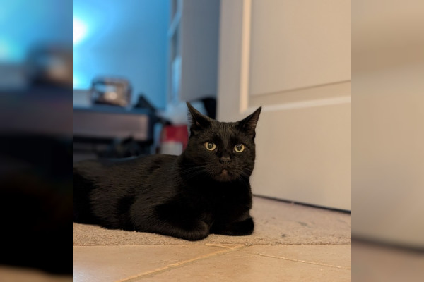 Oliver