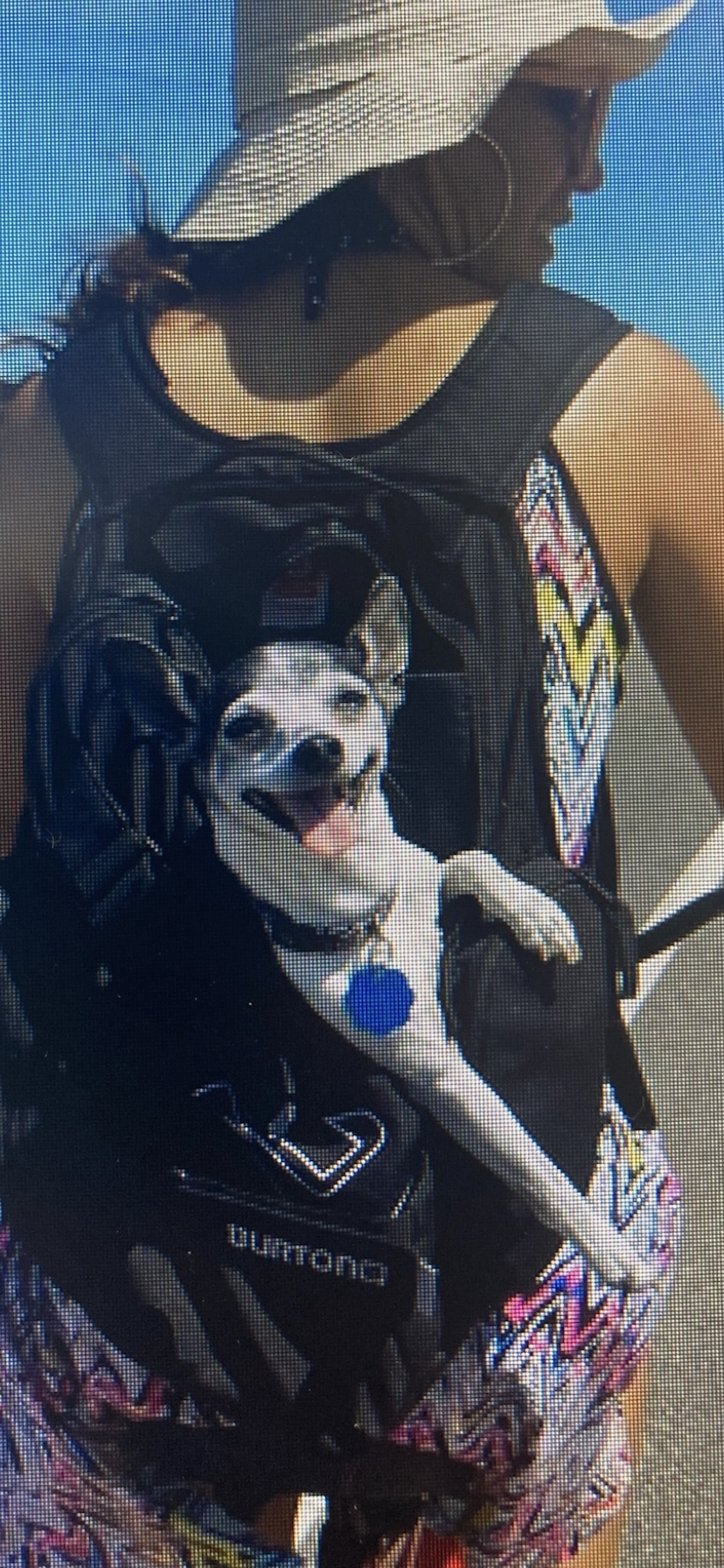 Pip