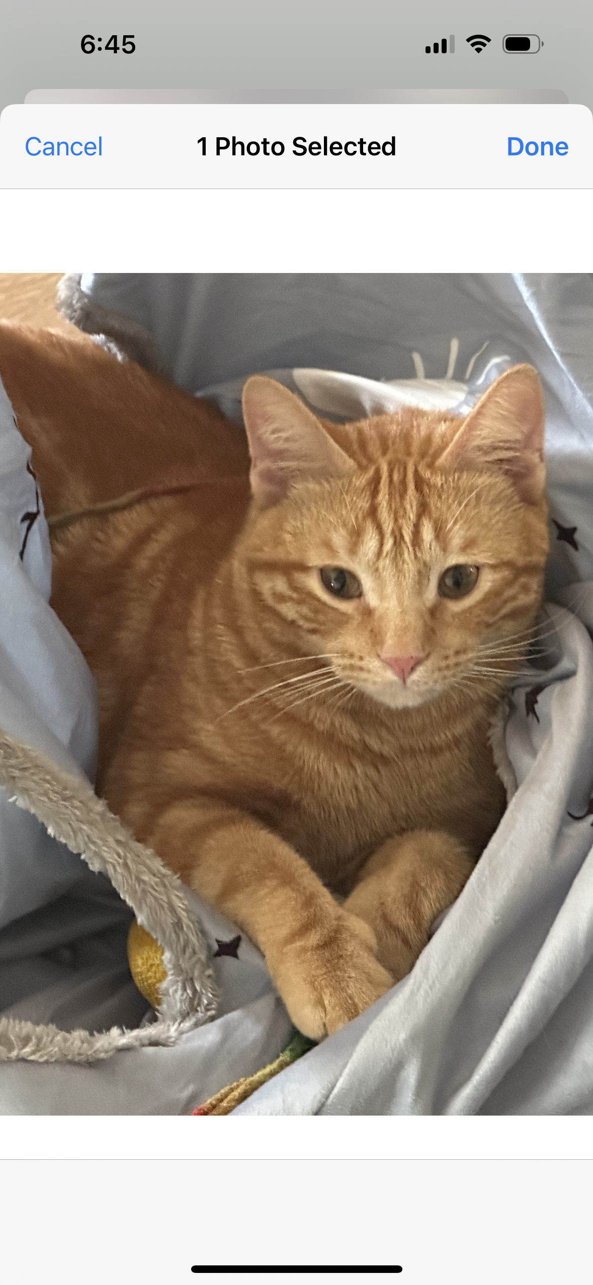 Brad Kitt aka Bracket