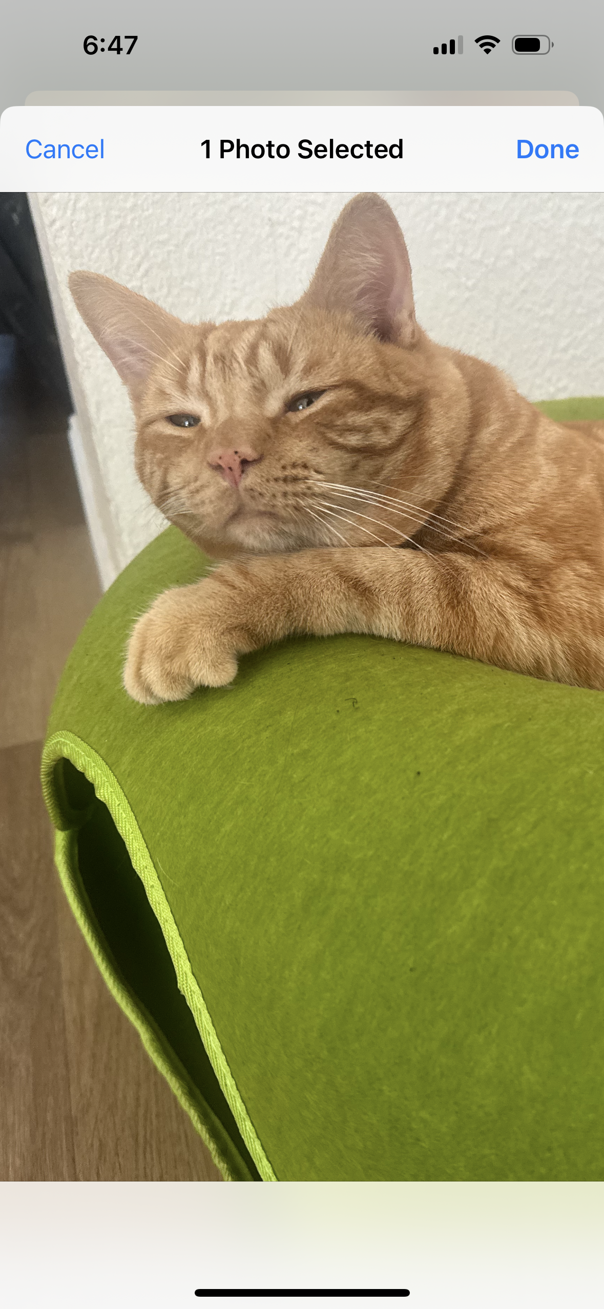 Brad Kitt aka Bracket